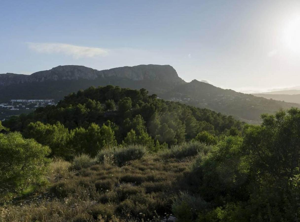 Villa Aguila - Calp Eksteriør billede